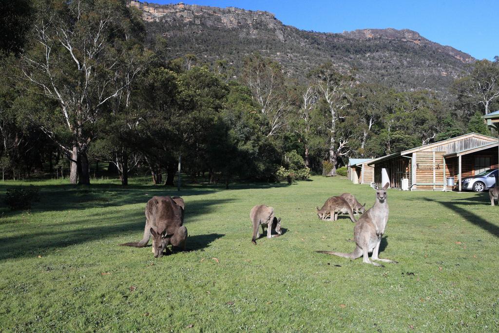 Halls Gap Log Cabins Zimmer foto