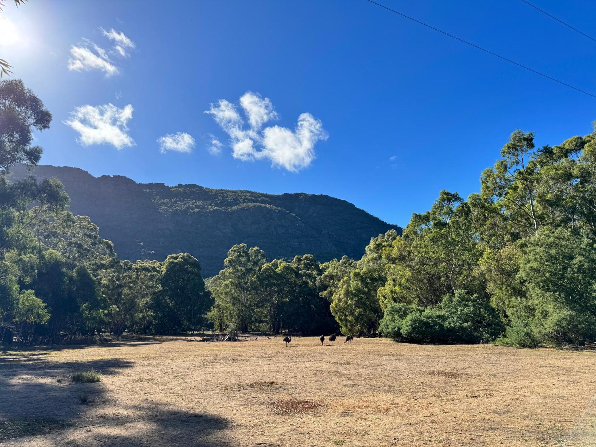 Halls Gap Log Cabins Exterior foto