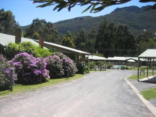 Halls Gap Log Cabins Exterior foto